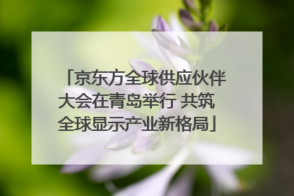 京东方全球供应伙伴大会在青岛举行 共筑全球显示产业新格局