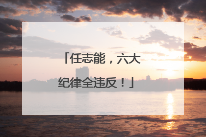 任志能，六大纪律全违反！