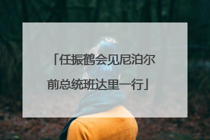 任振鹤会见尼泊尔前总统班达里一行