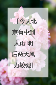 今天北京有中到大雨 明后两天风力较强