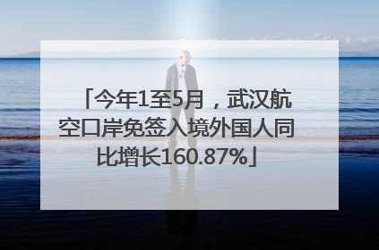 今年1至5月，武汉航空口岸免签入境外国人同比增长160.87%