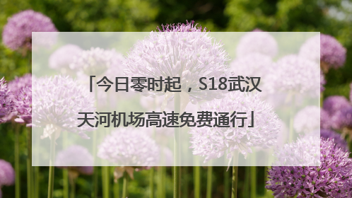 今日零时起，S18武汉天河机场高速免费通行