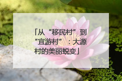 从“移民村”到“宜游村”：大源村的美丽蜕变