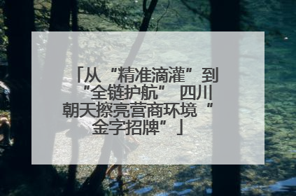从“精准滴灌”到“全链护航” 四川朝天擦亮营商环境“金字招牌”