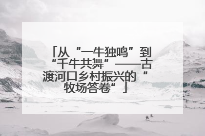 从“一牛独鸣”到“千牛共舞”——古渡河口乡村振兴的“牧场答卷”
