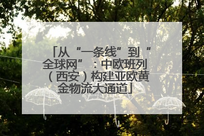 从“一条线”到“全球网”：中欧班列（西安）构建亚欧黄金物流大通道