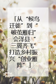 从“候鸟迁徙”到“破茧雁归” 会泽县“三翼齐飞”打造乡村振兴“创业雁阵”