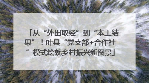 从“外出取经”到“本土结果”！叶县“党支部+合作社”模式绘就乡村振兴新图景