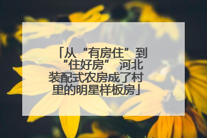 从“有房住”到“住好房” 河北装配式农房成了村里的明星样板房