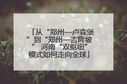 从“郑州—卢森堡”到“郑州—吉隆坡” 河南“双枢纽”模式如何走向全球