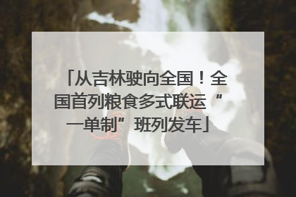 从吉林驶向全国！全国首列粮食多式联运“一单制”班列发车
