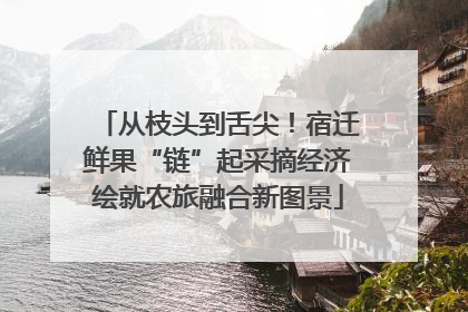 从枝头到舌尖！宿迁鲜果“链”起采摘经济绘就农旅融合新图景