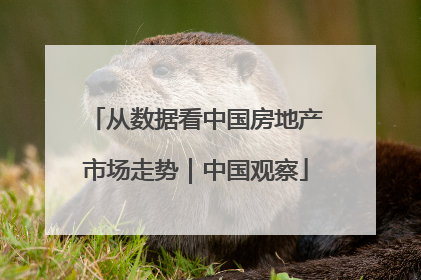 从数据看中国房地产市场走势｜中国观察