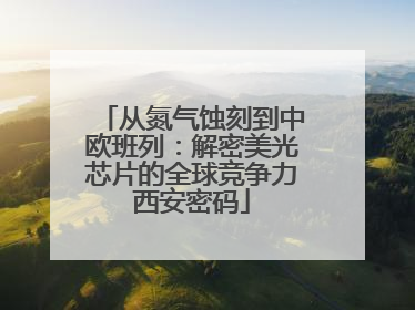 从氮气蚀刻到中欧班列：解密美光芯片的全球竞争力西安密码