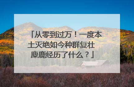 从零到过万！一度本土灭绝如今种群复壮 麋鹿经历了什么？