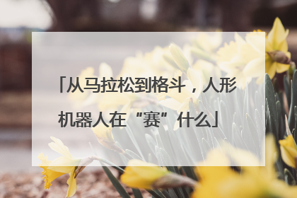从马拉松到格斗，人形机器人在“赛”什么