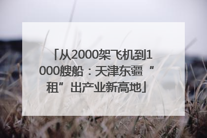 从2000架飞机到1000艘船：天津东疆“租”出产业新高地