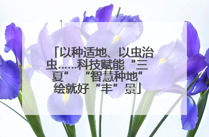 以种适地、以虫治虫……科技赋能“三夏” “智慧种地”绘就好“丰”景