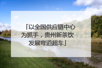 以全国供应链中心为抓手，贵州新茶饮发展弯道超车