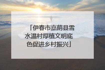 伊春市嘉荫县雪水温村厚植文明底色促进乡村振兴