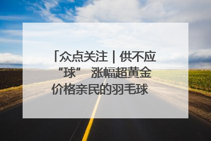 众点关注｜供不应“球” 涨幅超黄金 价格亲民的羽毛球为何身价飞涨？