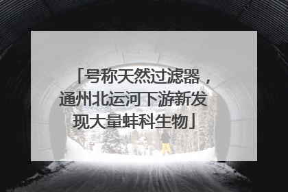 号称天然过滤器，通州北运河下游新发现大量蚌科生物