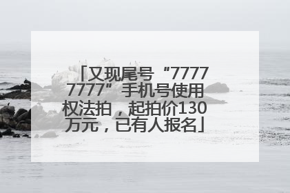 又现尾号“77777777”手机号使用权法拍，起拍价130万元，已有人报名