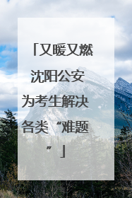 又暖又燃 沈阳公安为考生解决各类“难题”