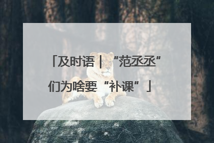 及时语｜“范丞丞”们为啥要“补课”