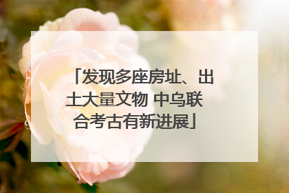 发现多座房址、出土大量文物 中乌联合考古有新进展