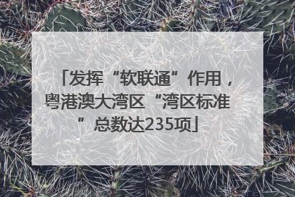 发挥“软联通”作用，粤港澳大湾区“湾区标准”总数达235项