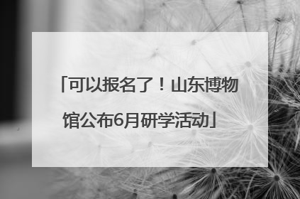 可以报名了！山东博物馆公布6月研学活动