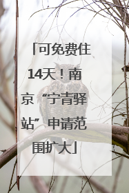 可免费住14天！南京“宁青驿站”申请范围扩大