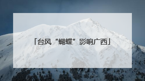 台风“蝴蝶”影响广西