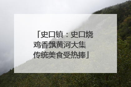 史口镇：史口烧鸡香飘黄河大集 传统美食受热捧