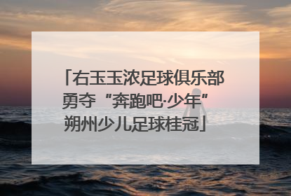 右玉玉浓足球俱乐部勇夺“奔跑吧·少年”朔州少儿足球桂冠
