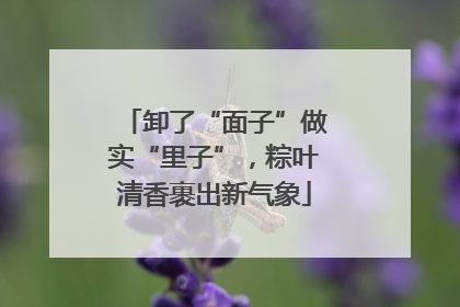 卸了“面子”做实“里子”，粽叶清香裹出新气象