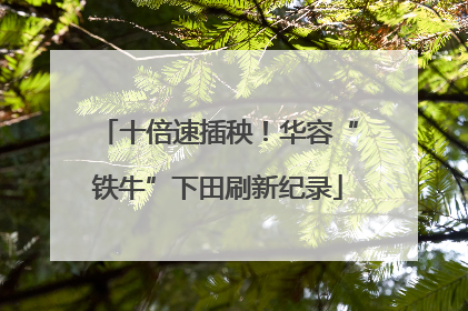 十倍速插秧！华容“铁牛”下田刷新纪录