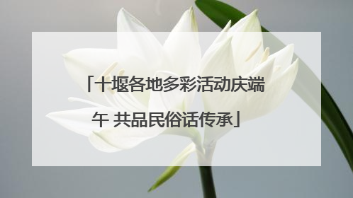 十堰各地多彩活动庆端午 共品民俗话传承