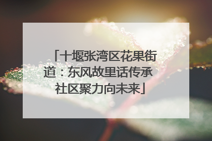 十堰张湾区花果街道：东风故里话传承 社区聚力向未来