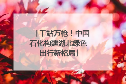 千站万枪！中国石化构建湖北绿色出行新格局