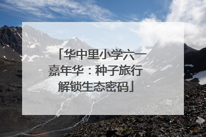 华中里小学六一嘉年华：种子旅行解锁生态密码