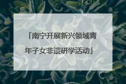 南宁开展新兴领域青年子女非遗研学活动