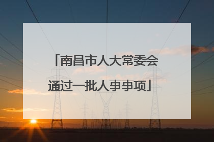 南昌市人大常委会通过一批人事事项