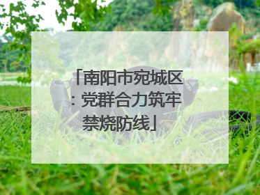 南阳市宛城区：党群合力筑牢禁烧防线
