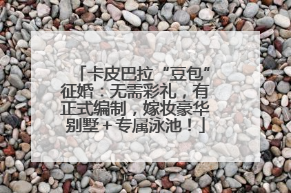 卡皮巴拉“豆包”征婚：无需彩礼，有正式编制，嫁妆豪华别墅＋专属泳池！