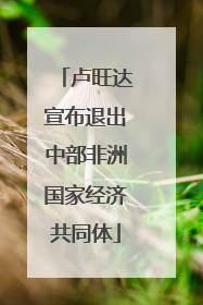 卢旺达宣布退出中部非洲国家经济共同体