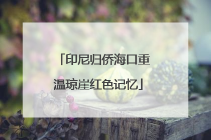 印尼归侨海口重温琼崖红色记忆