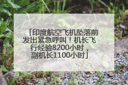 印度航空飞机坠落前发出紧急呼叫！机长飞行经验8200小时，副机长1100小时