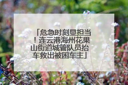 危急时刻显担当！连云港海州花果山街道城管队员抬车救出被困车主